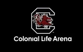 coloniallifearena.com